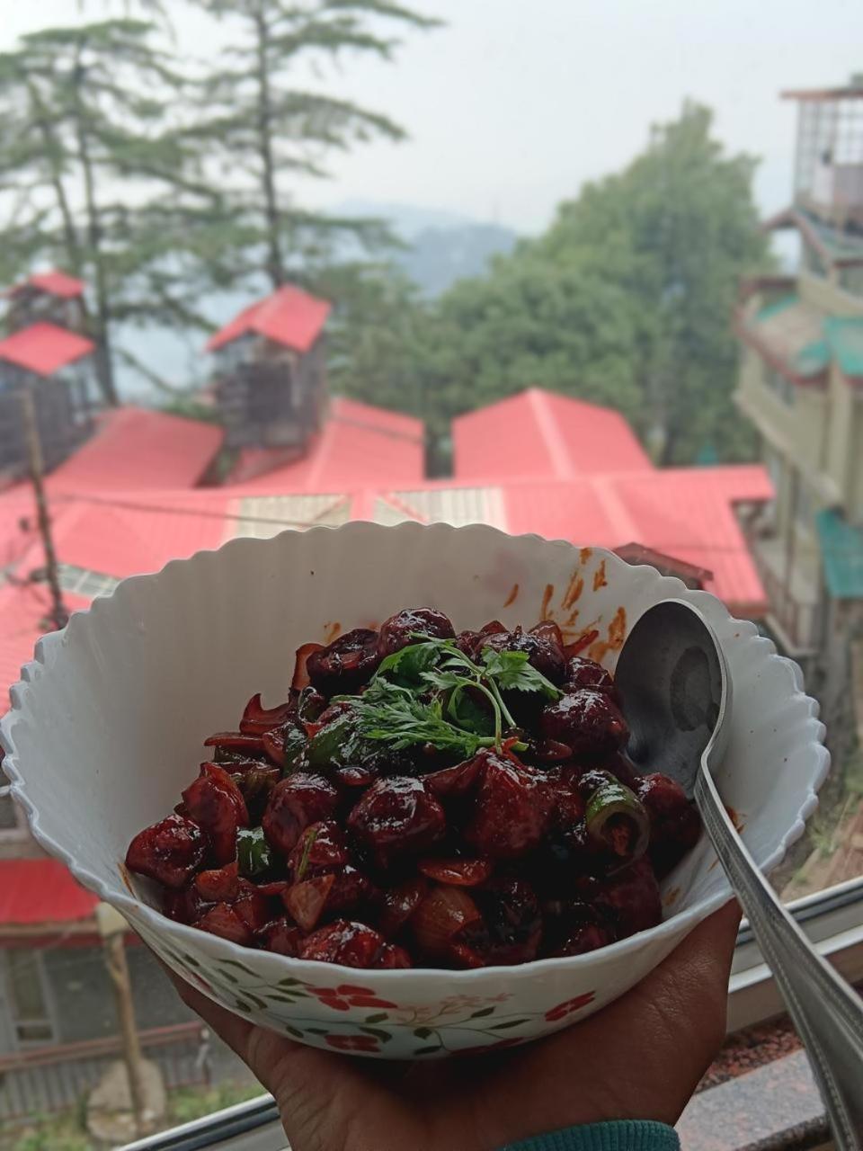 Hotel Jakhu Heights 西姆拉 外观 照片